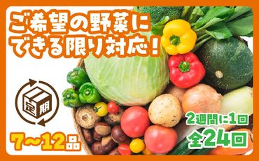 A028 わがままお野菜定期便（24回）