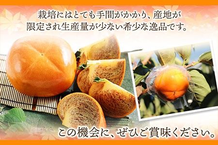 希少 紀の川柿 約3.5kg（種無し）【2026年先行予約】 秀選品  厳選館 《11月上旬-11月中旬出荷》 和歌山県 日高川町 柿 カキ かき ジューシー フルーツ---wshg_tmt251_11j11c_25_18000_4kg---