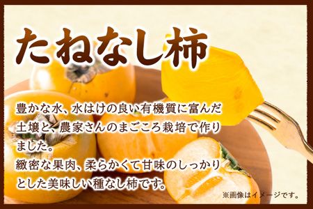 先行予約【秋の味覚】和歌山 産 の たねなし 柿 ご家庭用 約 7.5kg  厳選館《2026年9月上旬-11月上旬頃より出荷》和歌山県 日高川町 柿 カキ かき ジューシー フルーツ たねなし---wshg_tmt252_9j11j_25_15000_75---