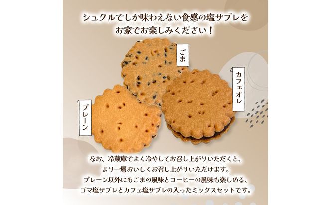 【J01035】大分銘菓 塩サブレ ミックス 10個入り