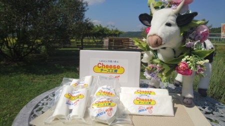 yɌO؎szA-313 q꒼c`[YH[̃tbV`[YZbg