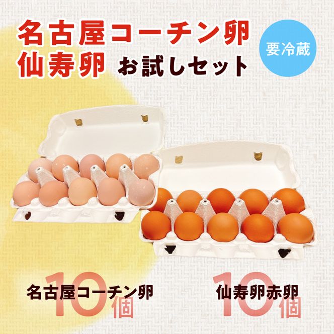 名古屋コーチン卵・仙寿卵お試しセット(各10個入り)[006K02]