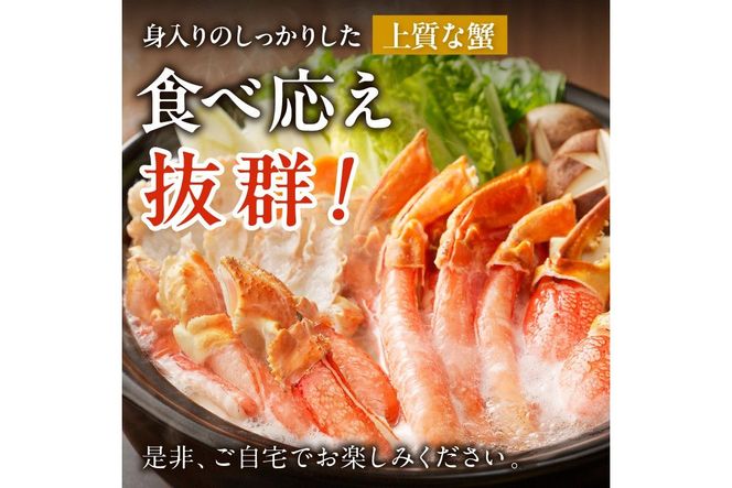 北見市加工 生冷本ズワイガニセット 1kg 昆布入り ( 蟹 かに 魚介類 カニ鍋 ズワイガニ ふるさと納税 贈答 熨斗 )【094-0052】