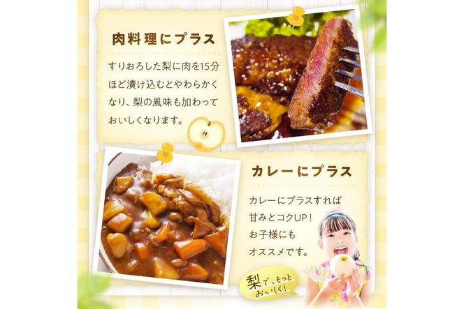 【先行予約／数量限定300】京丹後産 あきづき梨 5kg（8～12玉）（2026年9月中旬～発送）　DE00161