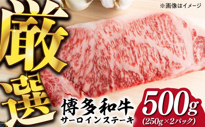 [溢れる肉汁と濃厚な旨味]博多和牛 サーロイン ステーキ セット 500g(250g×2枚)[築上町][株式会社MEAT PLUS] [ABBP013]