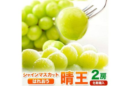 [2025年先行予約]シャインマスカット晴王 はれおう 2房(1房600g以上) 化粧箱入 株式会社山博(中本青果)[2025年8月下旬-10月中旬頃出荷]岡山県 浅口市 シャインマスカット 晴王 ぶどう マスカット 大粒 フルーツ 秀品 果物 ギフト 国産 岡山県産 送料無料---124_c249_8g10c_23_25000_700g---