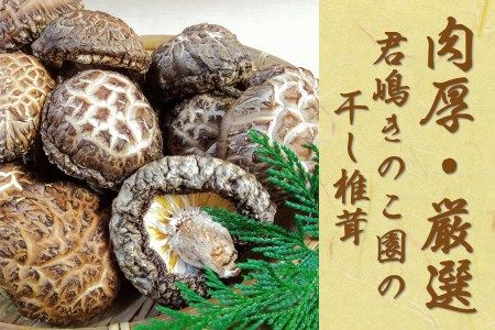 肉厚・厳選！原木育ちの上どんこ260g｜栃木県 矢板市 しいたけ 椎茸 産地直送  