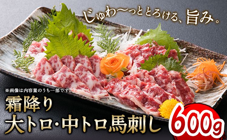 大トロ中トロ馬刺し盛り 600g 株式会社KAM Brewing[30日以内に出荷予定(土日祝除く)]馬刺し 熊本 大津町 大トロ 中トロ 食べ比べ 馬肉 霜降り---so_fkamottt_30d_24_70000_600g---