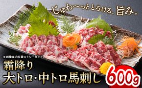 大トロ中トロ馬刺し盛り 600g 株式会社KAM Brewing《30日以内に出荷予定(土日祝除く)》馬刺し 熊本 大津町 大トロ 中トロ 食べ比べ 馬肉 霜降り---so_fkamottt_30d_24_70000_600g---