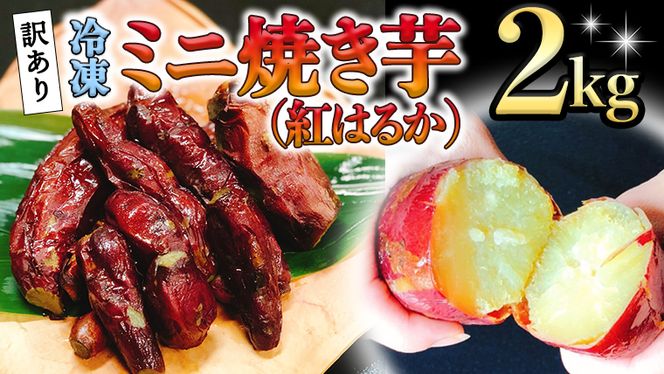 訳あり 冷凍 ミニ 焼き芋 ( 紅はるか ) 2kg フードロス 削減 サツマイモ さつまいも イモ いも 国産  食物繊維 スイーツ おやつ  小分け 茨城県産 [AU029ya] 