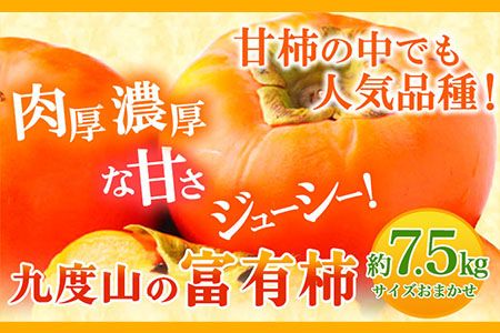 柿の名産地 九度山の 富有柿 約 7.5kgサイズおまかせ 厳選館 [11月上旬-12月下旬より出荷予定] 和歌山県 日高川町 柿 カキ かき ジューシー フルーツ---iwshg_tmt112_ab1112_23_21000_75---