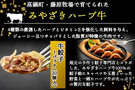 ＜みやざきハーブ牛 餃子＆ハンバーグセット＞入金確認後、翌月末迄に順次出荷【c910_fw_x2】