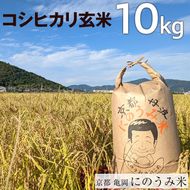 【令和7年産先行予約】米 コシヒカリ 玄米 10kg〈アグリにのうみ〉京都・亀岡産《令和7年産》 京都丹波産◇ ※北海道・沖縄・離島への配送不可 ※2025年10月中旬頃から順次発送予定
