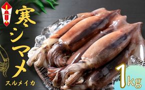 【のし付き】 朝どれ寒シマメ（スルメイカ）丸ごと5本 冷凍 刺身 ＜便利な個包装＞