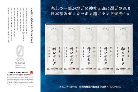 神の白糸「神ひやむぎ」10袋入【麺 めん SDGs 佐賀県産 夏 ギフト お中元 贈り物 乾麺 保存食 井上製麺】(H057136)