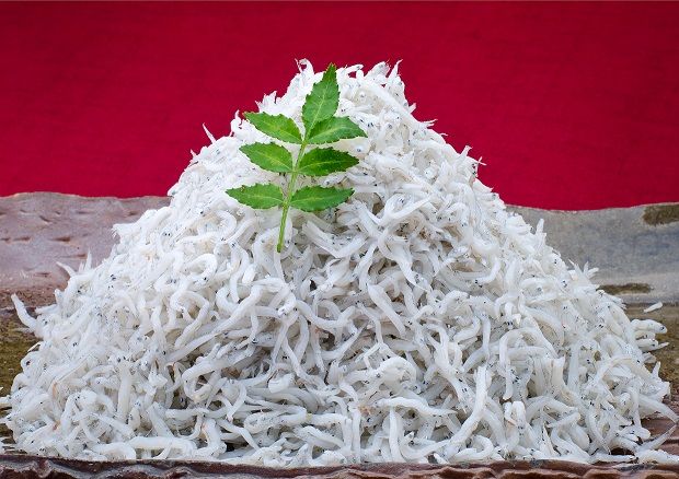 ya̎RLcsz436.g炷(250g×4) (A436-1)