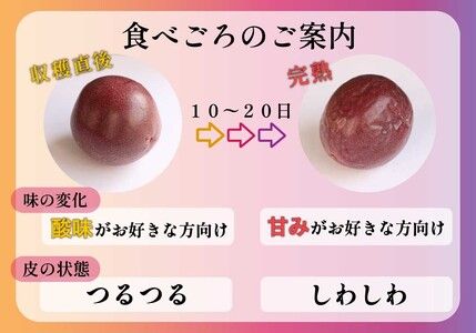 [数量限定／期間限定] 栃木県産パッションフルーツ1kg 南国の香りはじける極上フルーツ！｜先行予約 フルーツ 果物 果実 トロピカルフルーツ スイーツ 国産 [0444]