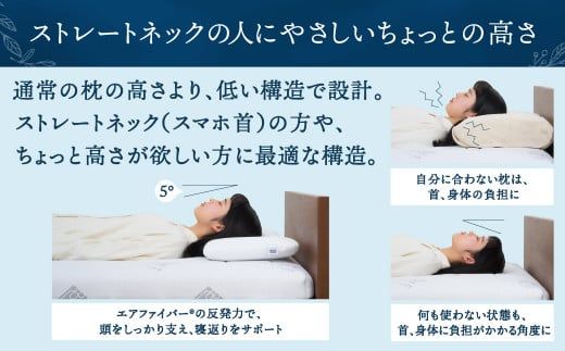 エアウィーヴ ピロー スリム “みな実のまくら” pillow slim × ピローケース スリム 2点セット