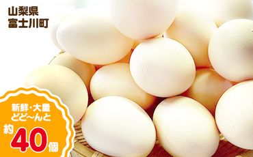 ひまわりたまご40個程度 ※破卵補償10個含 卵 鶏卵 玉子 大容量