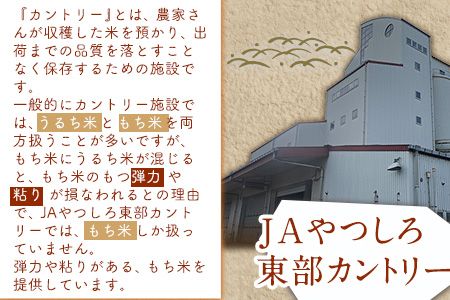 蓮華の花園(もち米) 10kg 精米 JAやつしろカントリー利用組合 熊本県 氷川町《30日以内に出荷予定(土日祝除く)》---hkw_jac_2_10kg---