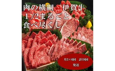【月3×6回　計18回発送】肉の横綱　伊賀牛１/2まるごと食べ尽くし