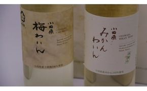 23-2183　城下町小田原の飲み比べわいんBセット（2本セット)