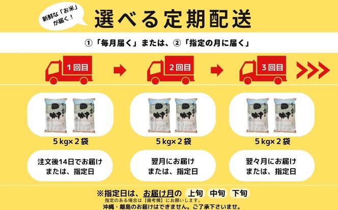 令和5年産 】＼定期便6回／ 田村市産 ひとめぼれ 1俵 60kg 10kg ずつ 6