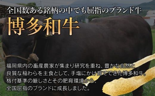 博多和牛100%贅沢手ごねハンバーグ　10個