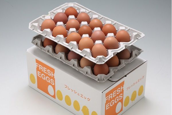 yR`cSzXYL̂܂@n{@MS`L@30