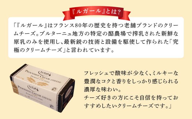 ルガール の クリームチーズ タルト / ケーキ チーズ バター / デザート おやつ 記念日 誕生日 / 南島原市 / 本田屋かすてら本舗 [SAW023]