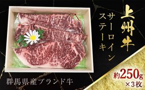 上州牛サーロインステーキ約250g×3 ANP003 