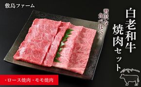 白老和牛焼肉セット《敷島ファーム》 BF009 