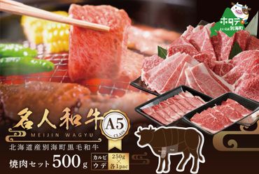 黒毛和牛 500g 焼肉用 (カルビ・ウデセット 250g×各1P)[TB0000006]