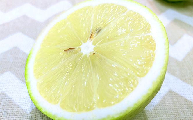 美浜町産温室ベルガモット　生果実『自宅用2kg入り』　※2025年11月上旬頃～2026年2月下旬頃に順次発送予定