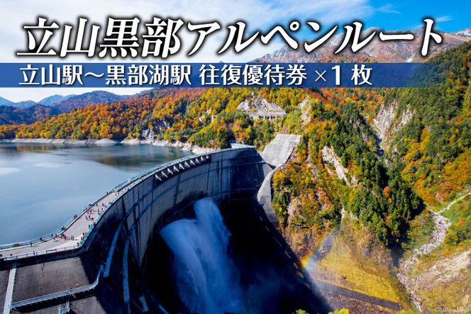 立山黒部貫光 立山黒部アルペンルート 片道乗車券(2枚) 21.11.30