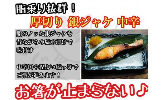 104-1713　【中辛】厚切り銀鮭 半身1枚 約10枚切【鮭 塩鮭 サケ 焼き魚 魚 おつまみ 惣菜 海鮮 珍味 お取り寄せ 御中元 お中元 お歳暮 父の日 母の日 贈り物 日本酒 焼酎】