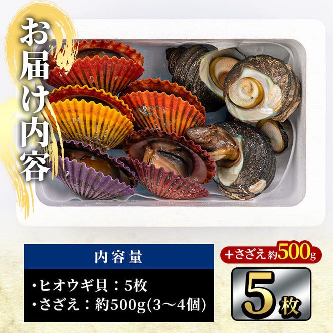 ヒオウギ貝(5枚)とサザエ(約500g) 魚介 貝 ヒオウギ貝 ひおうぎ貝 サザエ さざえ 栄螺 酒蒸し 網焼き バター焼き バーベキュー 獲れたて 冷蔵 海の直売所 大分県 佐伯市【AS121】【海べ (株)】