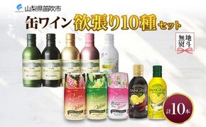 缶ワイン 欲張り10種 飲み比べセット モンデ酒造 10本 177-4-043