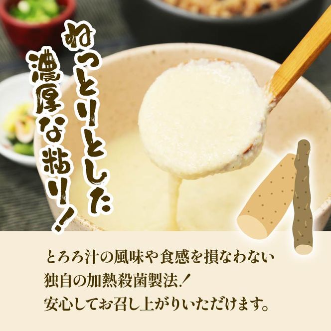 とろろ 15食 セット 1.8kg 小分け 個包装 山芋 大和芋 プレーン