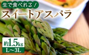 【生で食べられる】スイート アスパラ L～3L 約 1.5kg 増田農園 アスパラガス 甘い / 南島原市 / 贅沢宝庫 [SDZ014]