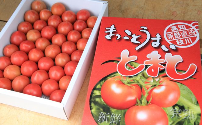 まっことうまい！水田さんのフルーツトマト【約2kg×2箱】