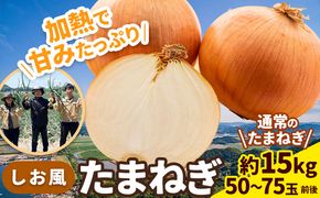 【2025年先行予約分】しお風たまねぎ 約15kg《2025年6月上旬-6月末頃出荷(土日祝除く)》 玉ねぎ たまねぎ 野菜 青果物 岡山県 笠岡市---223_787_6j6m_24_9000_15kg---