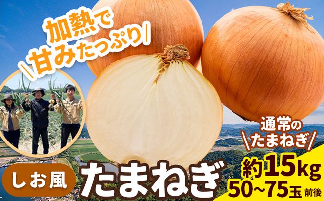 【2025年先行予約分】しお風たまねぎ 約15kg《2025年6月上旬-6月末頃出荷(土日祝除く)》 玉ねぎ たまねぎ 野菜 青果物 岡山県 笠岡市---223_787_6j6m_24_9000_15kg---