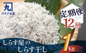 しらす屋のしらす干し １kg×12ヶ月 定期便 H006-088