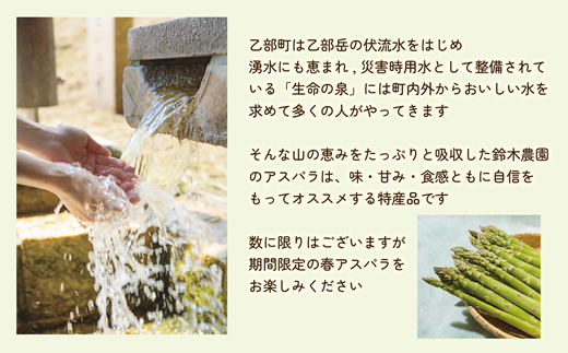 ＜北海道産 春採れグリーンアスパラ 3㎏＞ 甘さ広がる春の味覚！ 北海道 北海道産 国産 産地直送 乙部町 旬 新鮮 採れたて 農家直送 あすぱら アスパラガス 野菜 冷蔵配送 L以上 お取り寄せ 送料無料