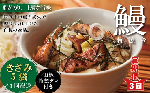 23-1033．【3回定期便】3ヵ月連続＜四万十食品＞うなぎ蒲焼きざみ5袋(合計225g) ／Ｋ5