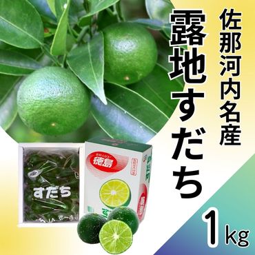 佐那河内名産！露地すだち　1kg(2L~3L）※2024年8月下旬頃から発送　※離島不可