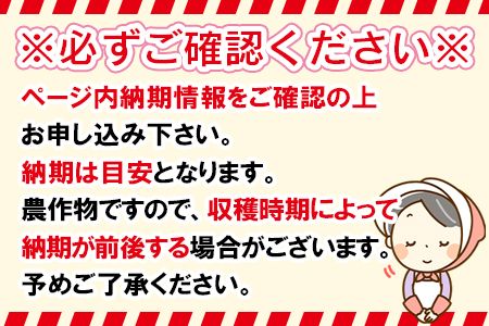 予約受付＜国富町産 完熟ミディトマト「フルティカ」1.5kg＞2025年1月上旬～5月下旬迄に順次出荷【 トマト 新鮮 野菜 先行予約 農家直送 季節物 数量限定 季節限定 サラダ 1.5キロ 】【b0727_sn】