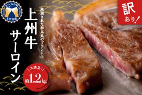 牛肉 サーロイン 【上州牛】 約1.2kg (約200g×6枚) 群馬県 千代田町 国産 牛肉 ステーキ キャンプ アウトドア バーべキュー BBQ 冷凍 送料無料