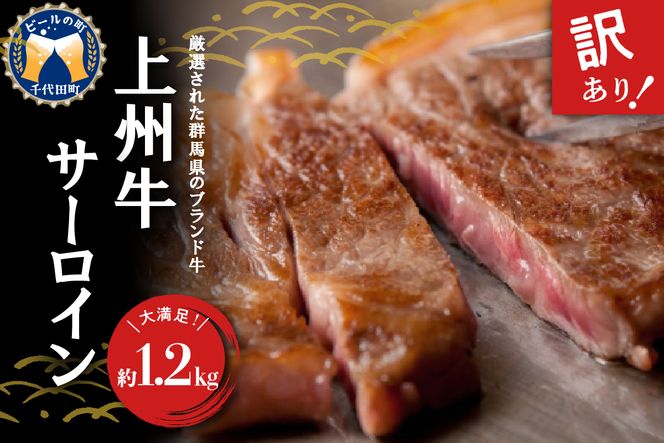 【訳あり】牛肉 サーロイン 【上州牛】 約1.2kg (約200g×6枚) 群馬県 千代田町 国産 牛肉 ステーキ キャンプ アウトドア バーべキュー BBQ 冷凍 送料無料